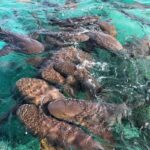 best time to visit Belize 2025