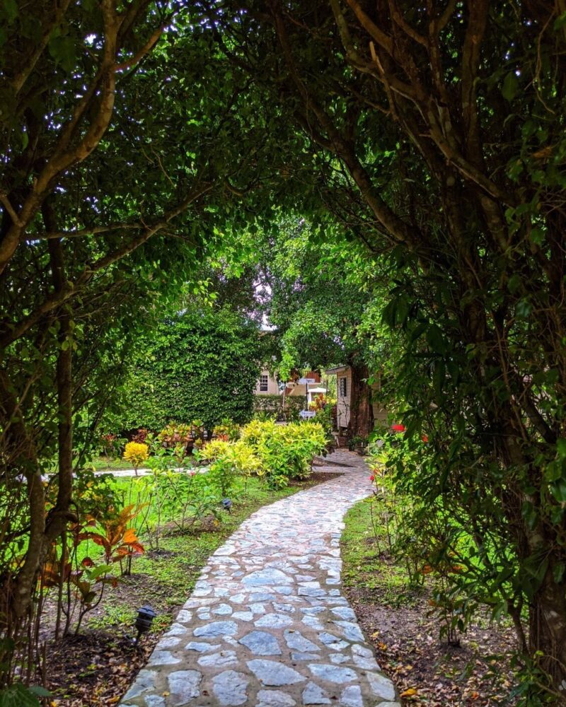 Belize rainforest travel