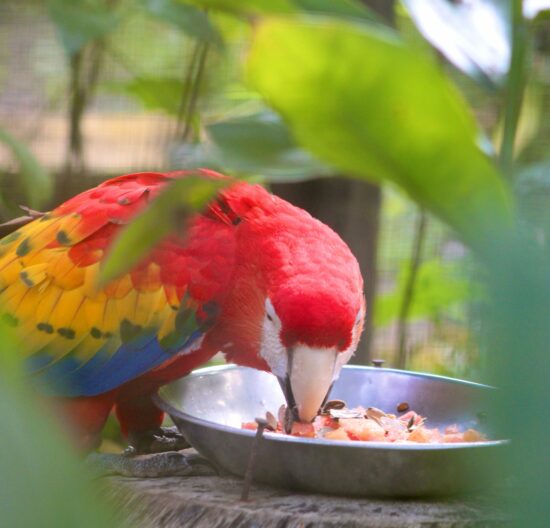 sustainable travel Belize